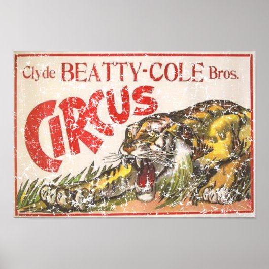 Beatty Cole Circus - 1903 - in nood Poster (Voorkant)