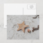 Beau Bahamas Starfish Shell Briefkaart (Voorkant / Achterkant)