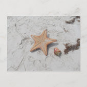 Beau Bahamas Starfish Shell Briefkaart (Voorkant)