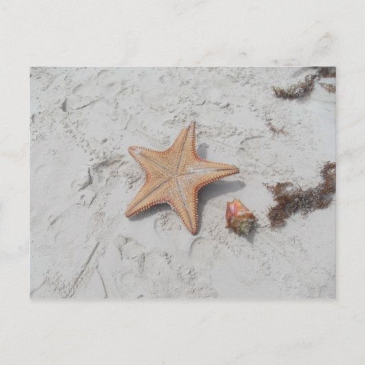 Beau Bahamas Starfish Shell Briefkaart (Voorkant)