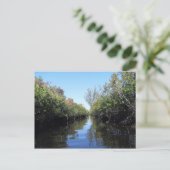 Beau Florida Everglades Briefkaart (Staand voorkant)