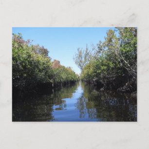 Beau Florida Everglades Briefkaart