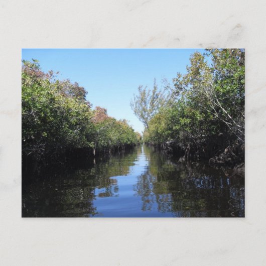 Beau Florida Everglades Briefkaart (Voorkant)