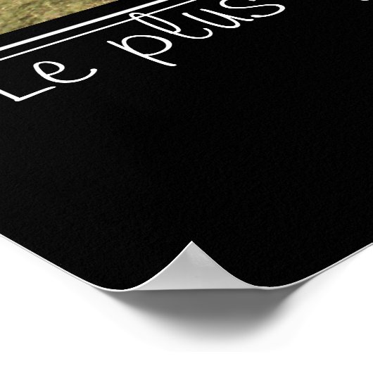 Beau jour dans le parc poster (Hoek)