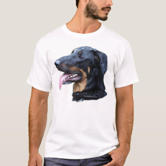 beauceron arlequin t-shirt