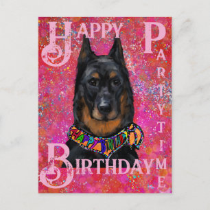Beauceron Briefkaart