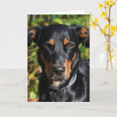 Beauceron Dog Portrait Kaart (Gele Bloem)