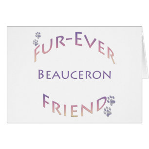 Beauceron Furever