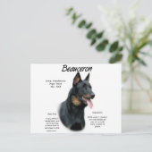 Beauceron Geschiedenis; Alles over Beaucerons Briefkaart (Staand voorkant)