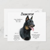 Beauceron Geschiedenis; Alles over Beaucerons Briefkaart (Voorkant / Achterkant)