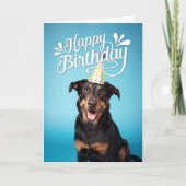 Beauceron Hond Gelukkige Verjaardag Kaart (Voorkant)