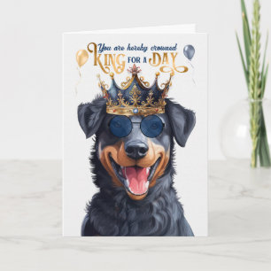 Beauceron Hondenkoning voor Dag Grappige Verjaarda Kaart