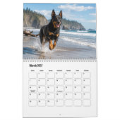 Beauceron Kalender (Mar 2027)
