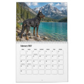 Beauceron Kalender (Feb 2027)