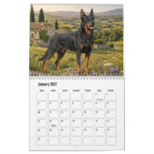 Beauceron Kalender (Jan 2027)