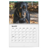 Beauceron-kalender Kalender (Mar 2027)