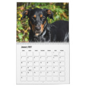 Beauceron-kalender Kalender (Jan 2027)