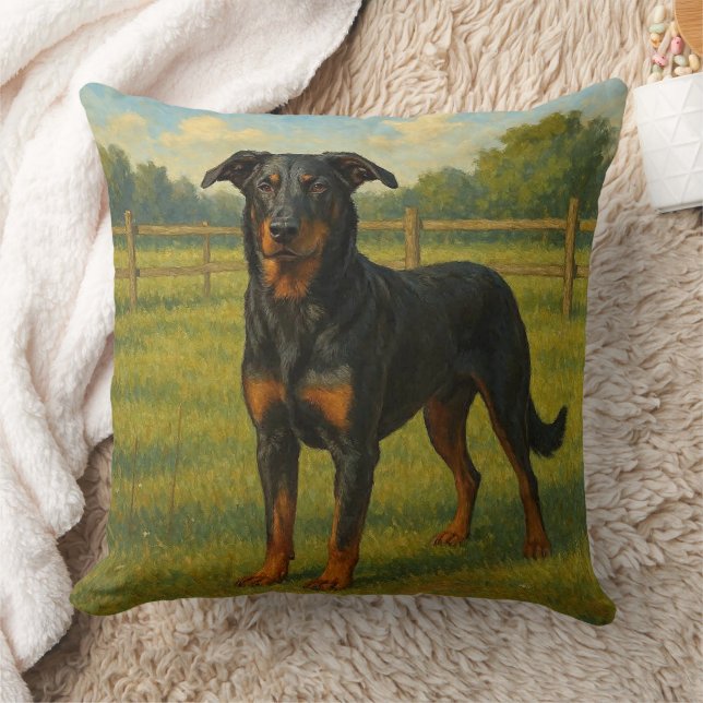 Beauceron Kussen (Deken)