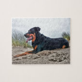 Beauceron Legpuzzel (Horizontaal)
