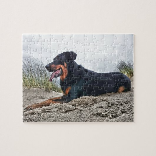 Beauceron Legpuzzel (Horizontaal)