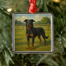 Beauceron Metalen Ornament