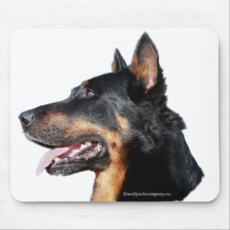 beauceron muismat