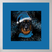 Beauceron Poster (Voorkant)