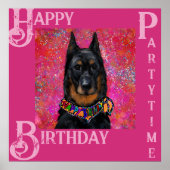 Beauceron Poster (Voorkant)