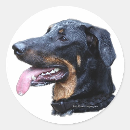 beauceron ronde sticker (Voorkant)