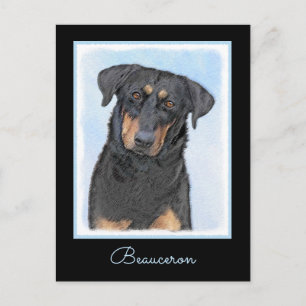 Beauceron-schildering - Kute Original Dog Art Briefkaart