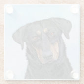 Beauceron-schildering - Kute Original Dog Art Glazen Onderzetter (Achterkant)