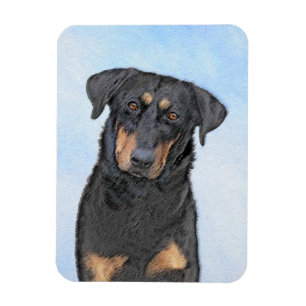 Beauceron-schildering - Kute Original Dog Art Magneet