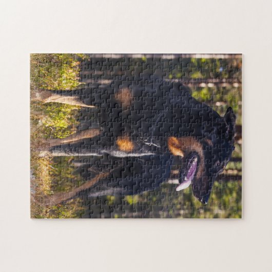 Beauceron Shepherd Dog. Legpuzzel (Horizontaal)