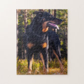 Beauceron Shepherd Dog. Legpuzzel (Verticaal)