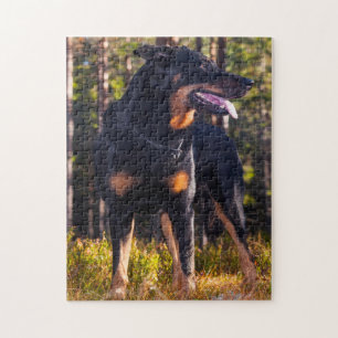 Beauceron Shepherd Dog. Legpuzzel