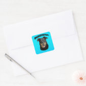 Beauceron Turquoise Vierkante Sticker (Envelop)