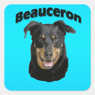 Beauceron Turquoise Vierkante Sticker