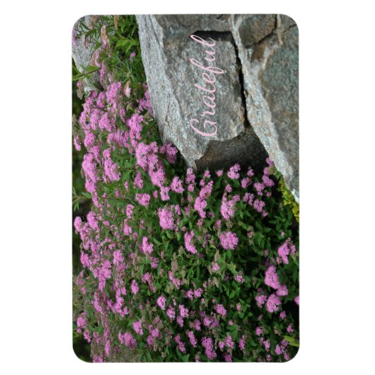 Beauece Rock Garden Gratitude Magneet (Verticaal)