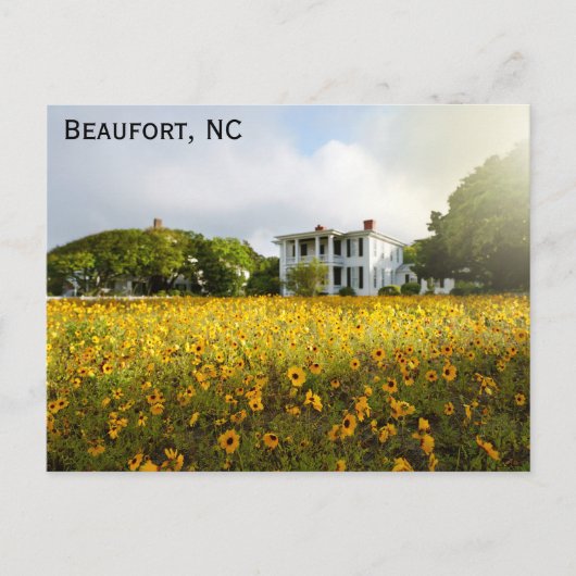 Beaufort North Carolina Historisch Home Reizen Briefkaart (Voorkant)