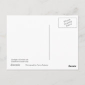 Beaufortia-Briefkaart Briefkaart (Achterkant)