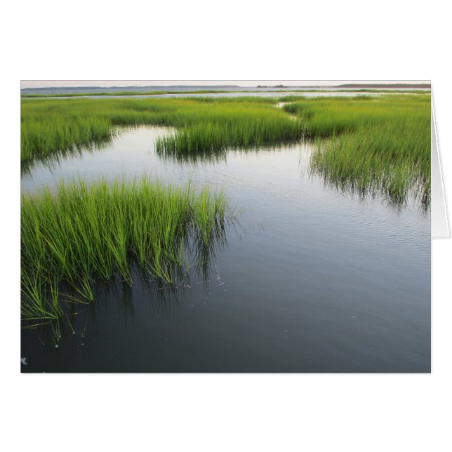 Beaufort's achtertuin (Voorkant Horizontaal)