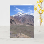 Beauful Acongagua National Park Uitzicht, Argentin Kaart (Gele Bloem)