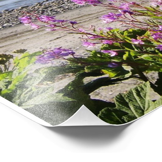 Beauful Alaskan Scenery Foto Afdruk (Hoek)