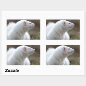 Beauful Albino Ferret Rechthoekige Sticker (Vel)