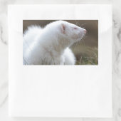 Beauful Albino Ferret Rechthoekige Sticker (Tas)