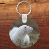 Beauful Albino Ferret Sleutelhanger (Voorkant)