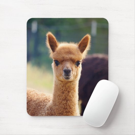 Beauful Alpaca Mousepad Muismat (Met muis)