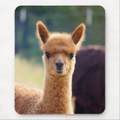 Beauful Alpaca Mousepad Muismat (Voorkant)