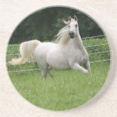 Beauful Arabian Mare Onderzetter - 2 (Voorkant)