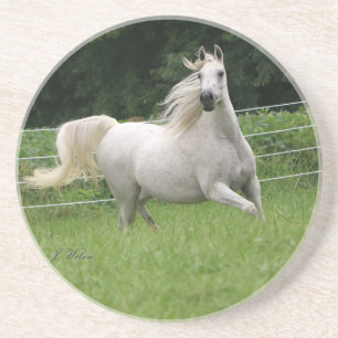 Beauful Arabian Mare Onderzetter - 2